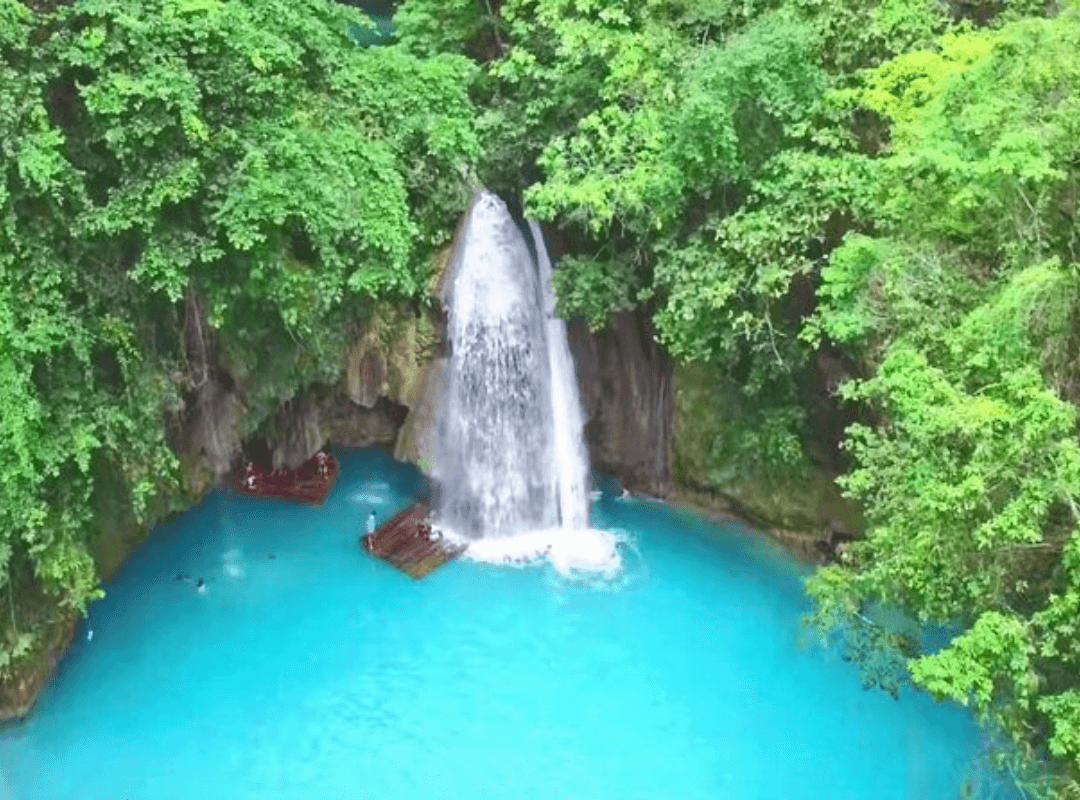 Oslob + Kawasan Day Tour